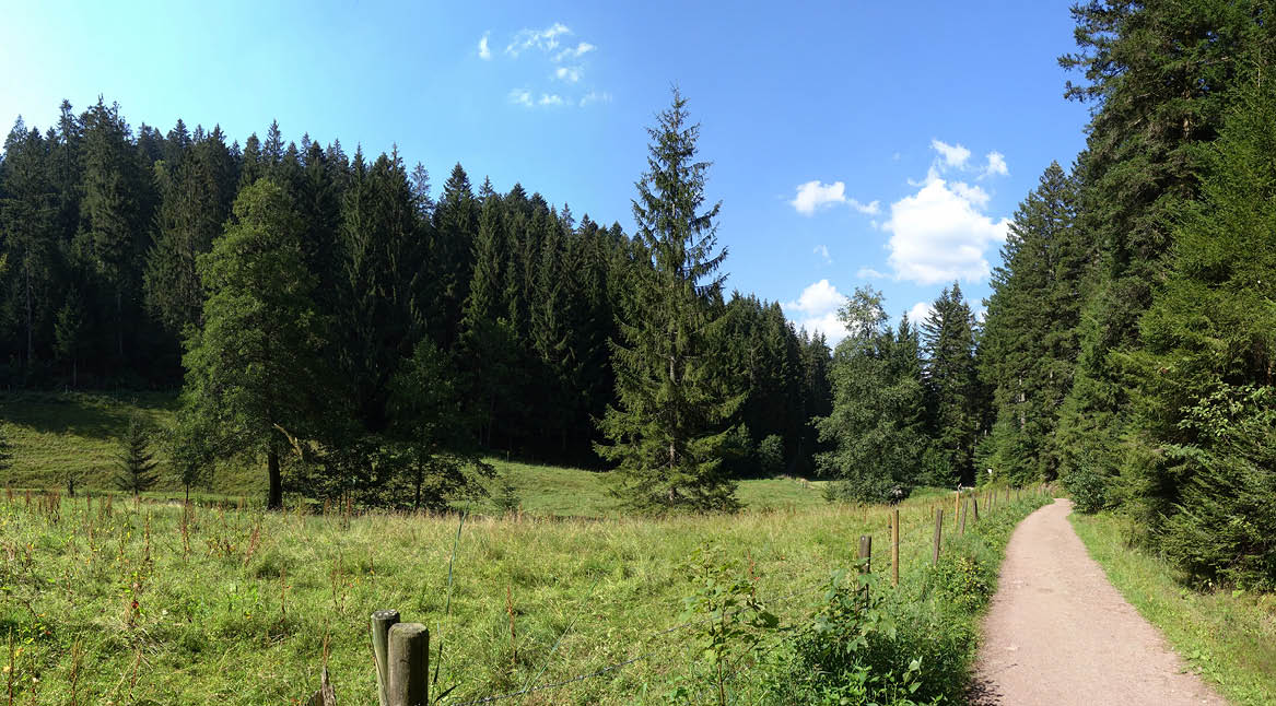 Sankenbach Wanderweg