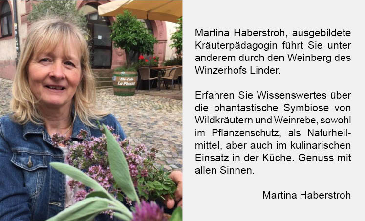 Martina Haberstroh16