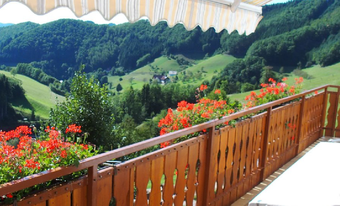 Müllerbauernhof_323